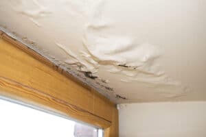 water damage restoration