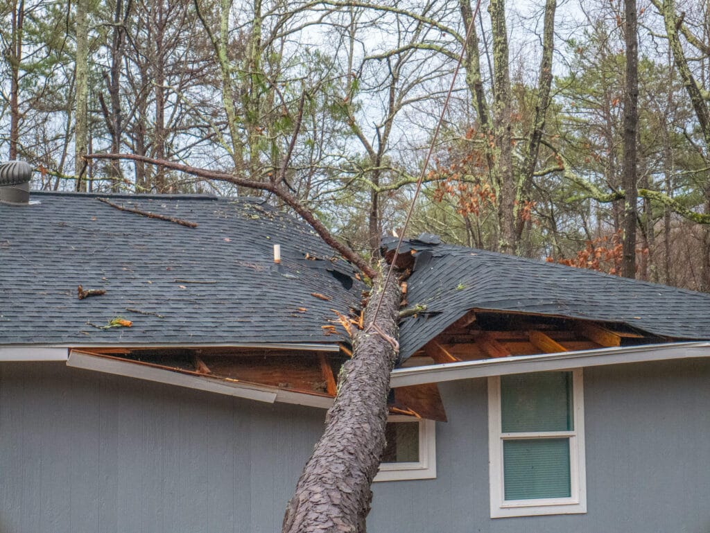 Storm damage, tree on house