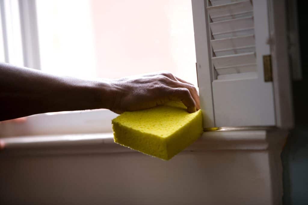 mold prevention