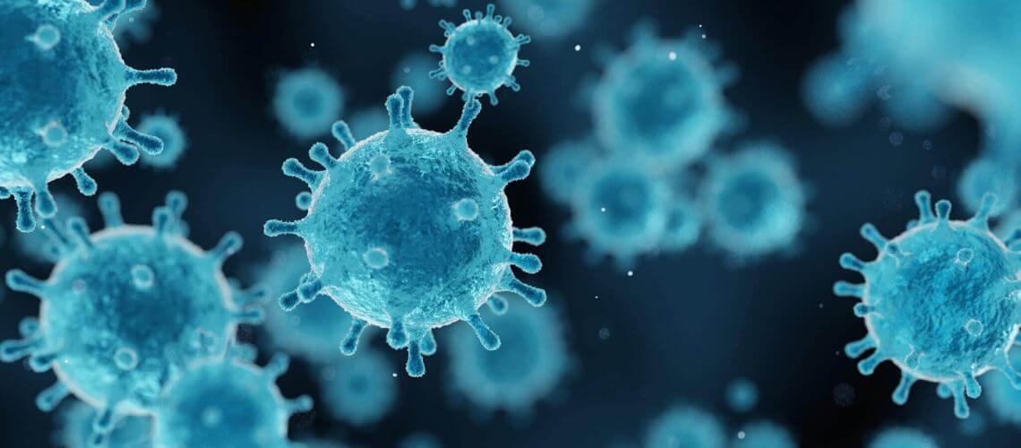 virus cells