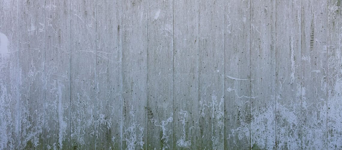 mold remediation