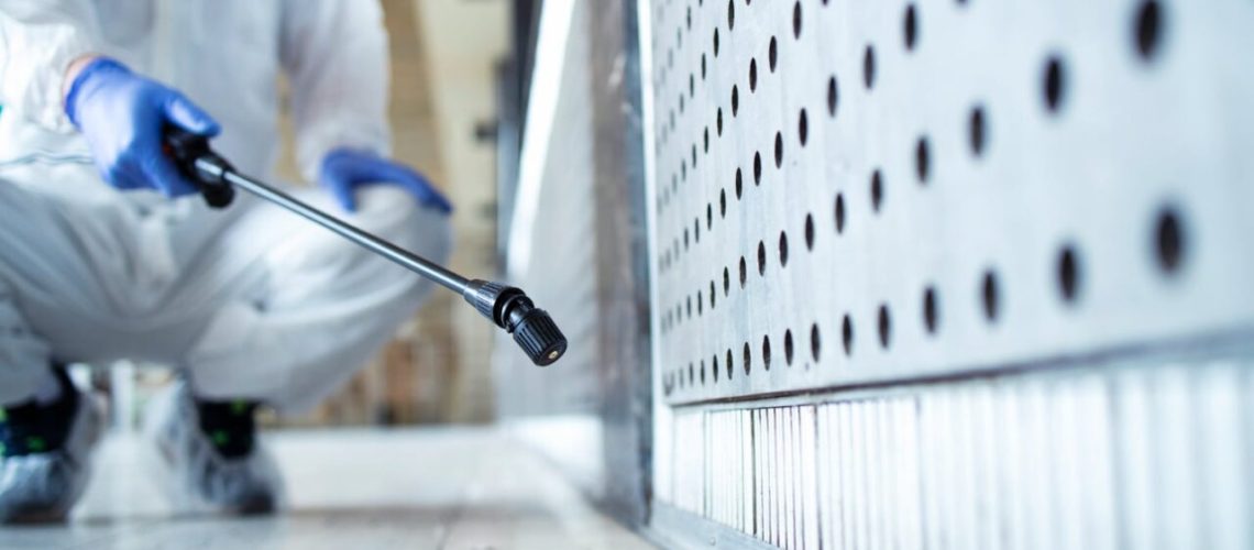 mold remediation